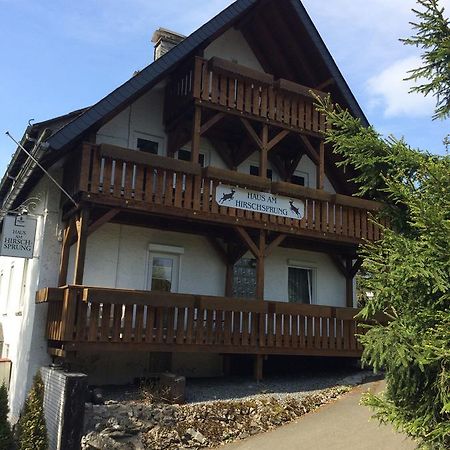 Pension Haus Am Hirschsprung Willingen  Exterior foto
